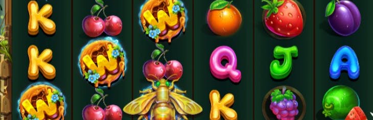 concurso da quina 6172