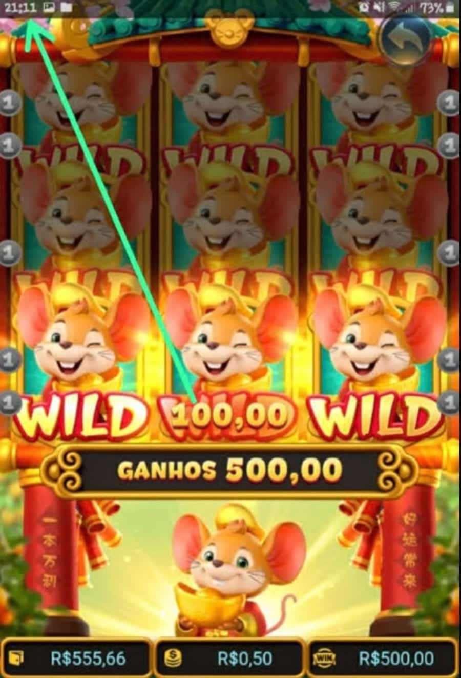 ivibet com