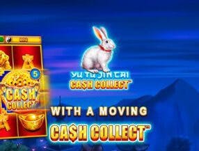 ivibet reviews